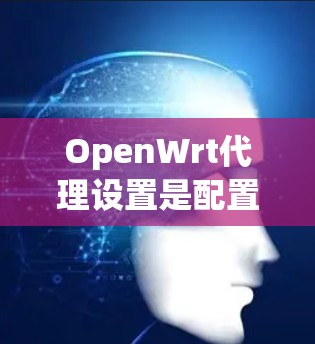 OpenWrt代理设置是配置OpenWrt代理服务器或代理机的一种方式,通常用于连接服务器到本地机、本地机到云服务器或其他代理服务器。以下是一些常见的OpenWrt代理设置步骤和配置方法 OpenWrt代理设置是配置OpenWrt代理服务器或代理机的一种方式,通常用于连接服务器到本地机、本地机到云服务器或其他代理服务器。以下是一些常见的OpenWrt代理设置步骤和配置方法