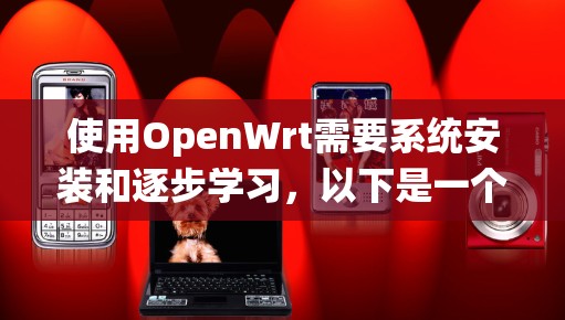 使用OpenWrt需要系统安装和逐步学习，以下是一个分步指南，帮助你逐步掌握OpenWrt的使用方法