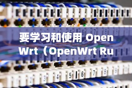 要学习和使用 OpenWrt（OpenWrt Runtime Environment）的网络工具，可以按照以下步骤进行