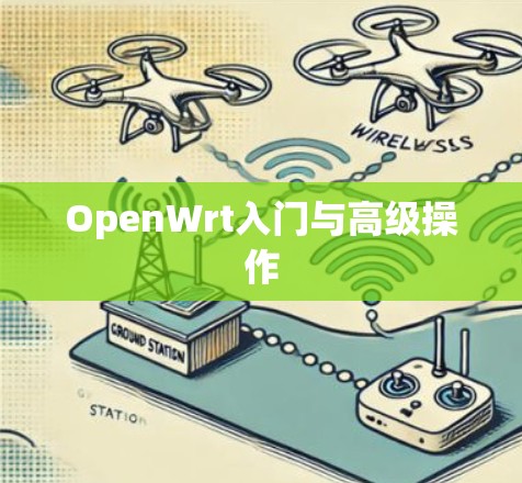 OpenWrt入门与高级操作 OpenWrt入门与高级操作