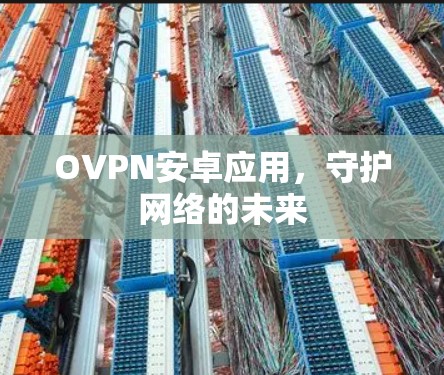 OVPN安卓应用,守护网络的未来 OVPN安卓应用,守护网络的未来