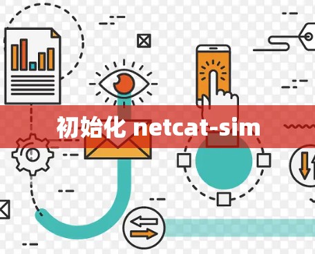 初始化 netcat-sim