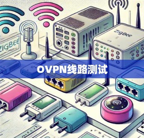 OVPN线路测试 OVPN线路测试