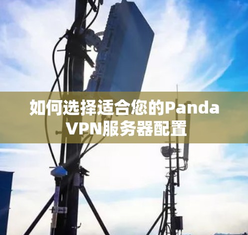 如何选择适合您的Panda VPN服务器配置 如何选择适合您的Panda VPN服务器配置