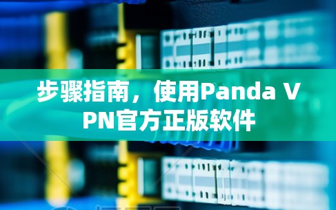 步骤指南,使用Panda VPN官方正版软件 步骤指南,使用Panda VPN官方正版软件