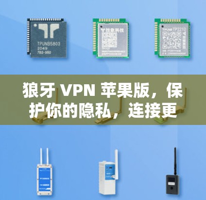 狼牙 VPN 苹果版,保护你的隐私,连接更安全的网络 狼牙 VPN 苹果版,保护你的隐私,连接更安全的网络