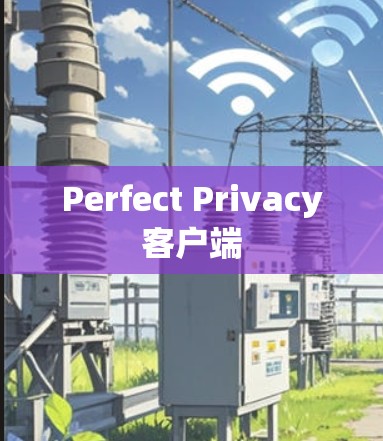 Perfect Privacy客户端