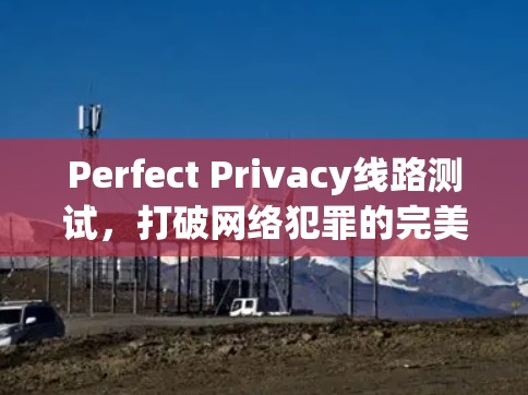 Perfect Privacy线路测试,打破网络犯罪的完美防线 Perfect Privacy线路测试,打破网络犯罪的完美防线
