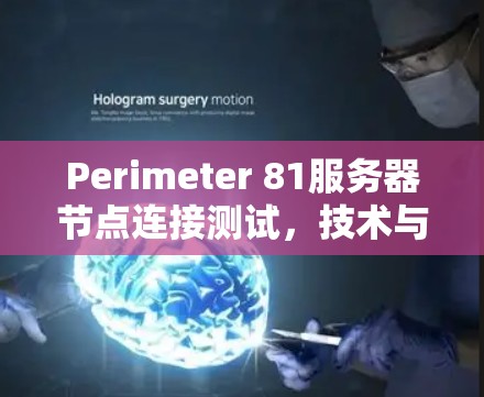 Perimeter 81服务器节点连接测试，技术与安全挑战