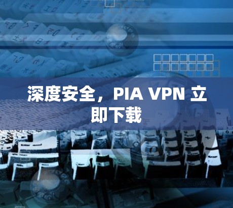 深度安全，PIA VPN 立即下载