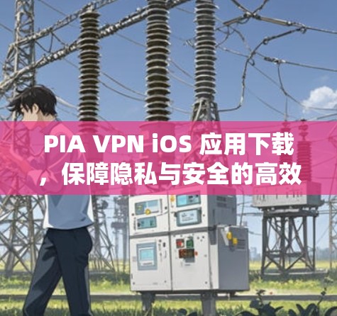 PIA VPN iOS 应用下载，保障隐私与安全的高效通信解决方案