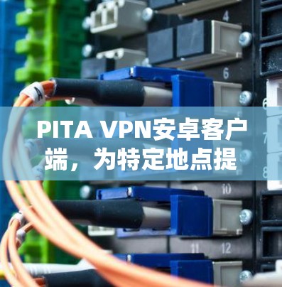 PITA VPN安卓客户端，为特定地点提供高效安全VPN解决方案