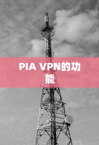 PIA VPN的功能 PIA VPN的功能