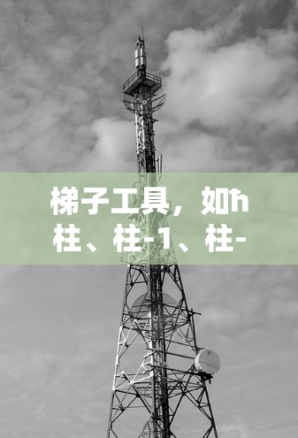 梯子工具,如ħ柱、柱-1、柱-2等,是用于构建物理连接的设备,通常用于特定的环境或场景,如实验室、企业内部网络或需要固定设备的场所。这些设备通过物理路径连接用户和服务器,提供VPN服务 梯子工具,如ħ柱、柱-1、柱-2等,是用于构建物理连接的设备,通常用于特定的环境或场景,如实验室、企业内部网络或需要固定设备的场所。这些设备通过物理路径连接用户和服务器,提供VPN服务