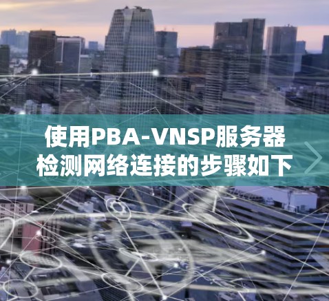 使用PBA-VNSP服务器检测网络连接的步骤如下