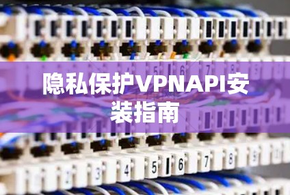隐私保护VPNAPI安装指南 隐私保护VPNAPI安装指南