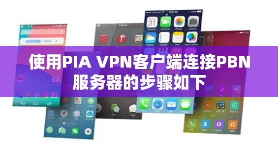 使用PIA VPN客户端连接PBN服务器的步骤如下