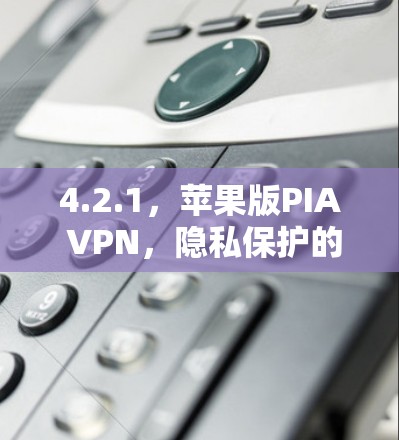 4.2.1，苹果版PIA VPN，隐私保护的高效选择