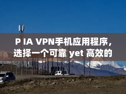 P IA VPN手机应用程序,选择一个可靠 yet 高效的网络安全解决方案 P IA VPN手机应用程序,选择一个可靠 yet 高效的网络安全解决方案