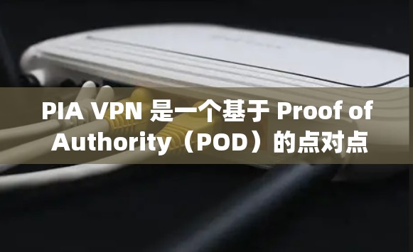 PIA VPN 是一个基于 Proof of Authority（POD）的点对点 VPN 应用程序，主要用于企业内部安全。以下是对其的主要信息和使用指南