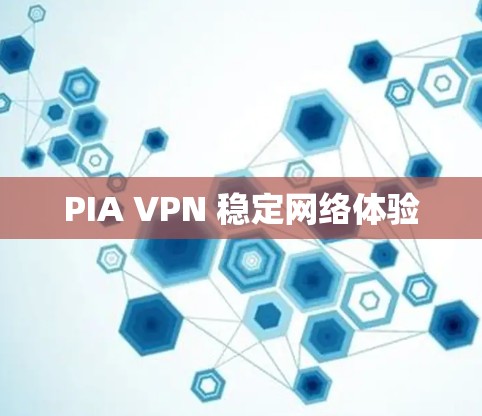 PIA VPN 稳定网络体验