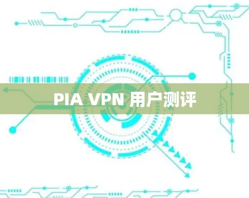 PIA VPN 用户测评