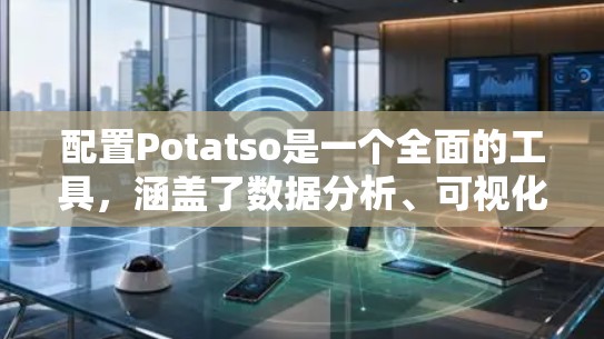 配置Potatso是一个全面的工具，涵盖了数据分析、可视化和自定义功能等多个模块。以下是一个逐步的配置指南，涵盖从数据输入到自定义功能的全面配置
