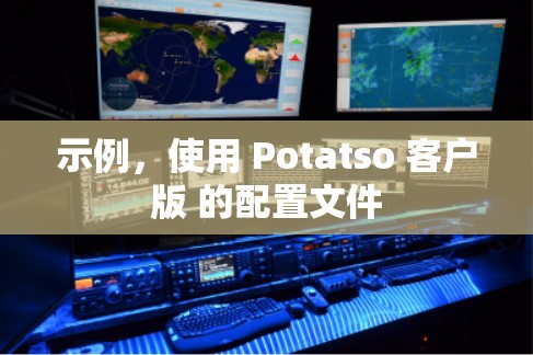 示例,使用 Potatso 客户版 的配置文件 示例,使用 Potatso 客户版 的配置文件