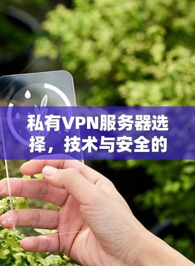 私有VPN服务器选择，技术与安全的平衡