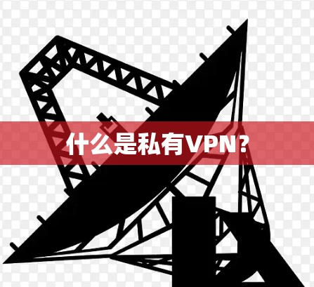 什么是私有VPN? 什么是私有VPN?