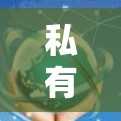 私有化VPN，如何在电脑上构建安全、私密的网络连接？