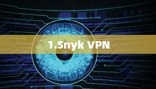 1.Snyk VPN