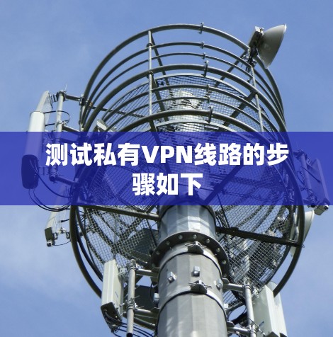 测试私有VPN线路的步骤如下
