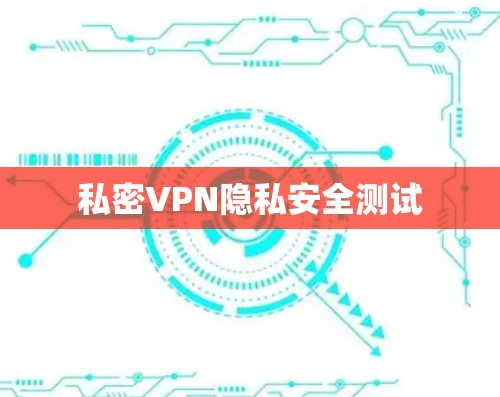 私密VPN隐私安全测试