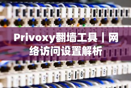 Privoxy翻墙工具|网络访问设置解析 Privoxy翻墙工具|网络访问设置解析