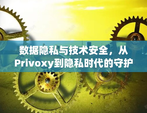 数据隐私与技术安全,从Privoxy到隐私时代的守护者 数据隐私与技术安全,从Privoxy到隐私时代的守护者