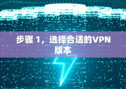 步骤 1，选择合适的VPN版本