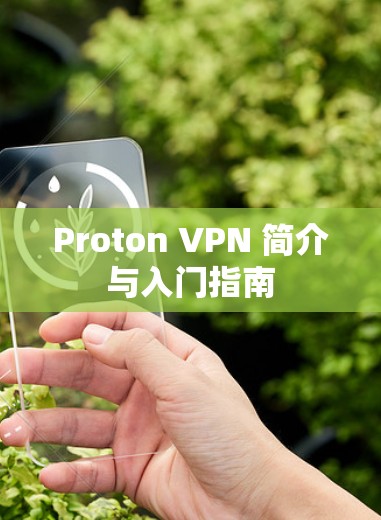 Proton VPN 简介与入门指南
