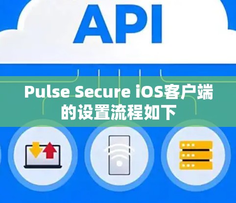 Pulse Secure iOS客户端的设置流程如下 Pulse Secure iOS客户端的设置流程如下