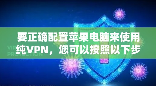 要正确配置苹果电脑来使用纯VPN，您可以按照以下步骤操作