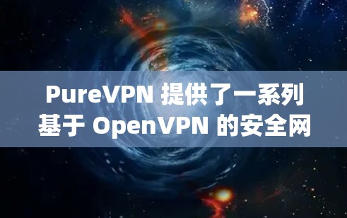 PureVPN 提供了一系列基于 OpenVPN 的安全网络，这些服务通常由可信的网络提供商或公司提供。以下是 PureVPN 提供的安全线路推荐