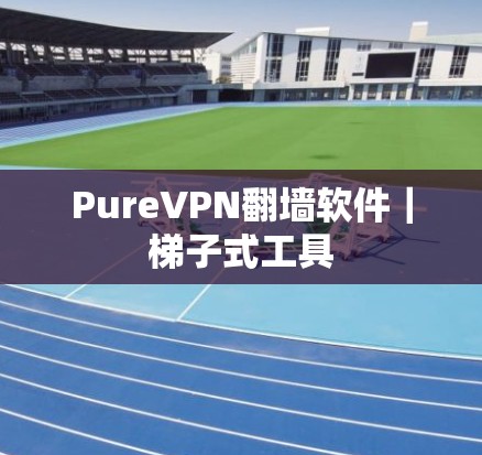 PureVPN翻墙软件｜梯子式工具