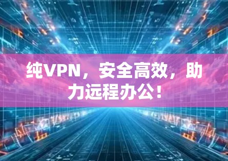 纯VPN,安全高效,助力远程办公! 纯VPN,安全高效,助力远程办公!