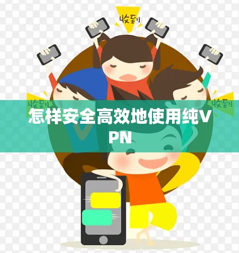 怎样安全高效地使用纯VPN 怎样安全高效地使用纯VPN
