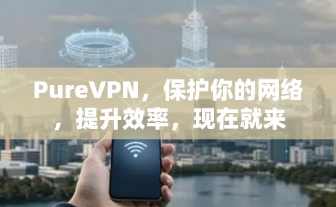 PureVPN，保护你的网络，提升效率，现在就来