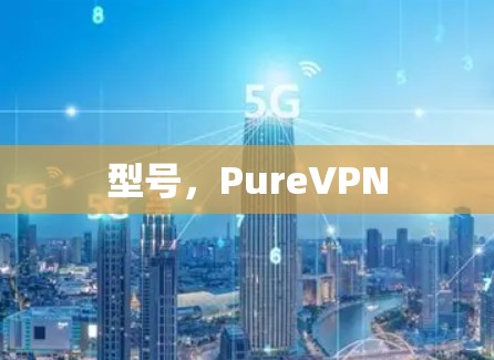型号，PureVPN
