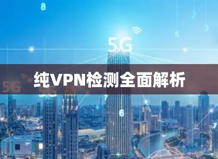 纯VPN检测全面解析