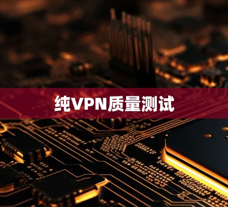 纯VPN质量测试