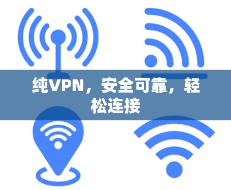 纯VPN,安全可靠,轻松连接 纯VPN,安全可靠,轻松连接
