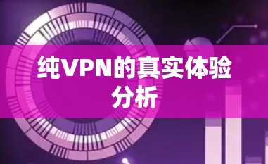 纯VPN的真实体验分析 纯VPN的真实体验分析
